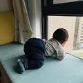 大耳朵TT