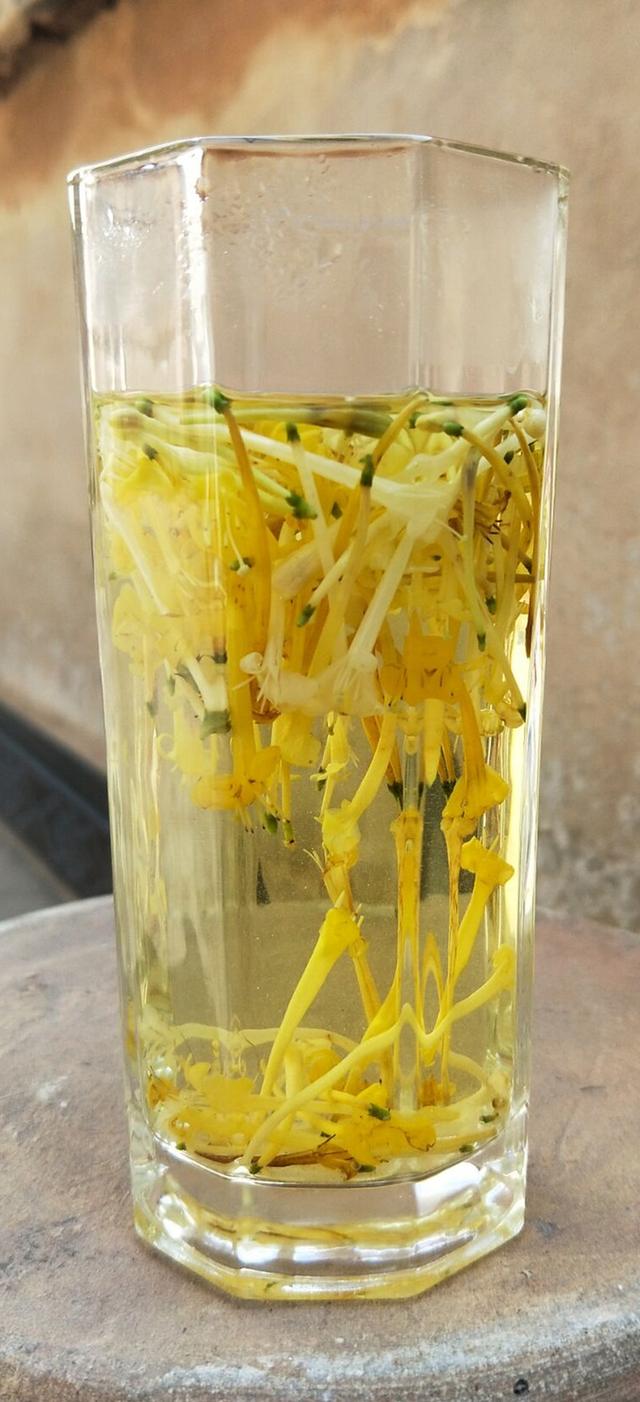 春天的花有哪些，二年级春天的花有哪些（“最香的”15种花）