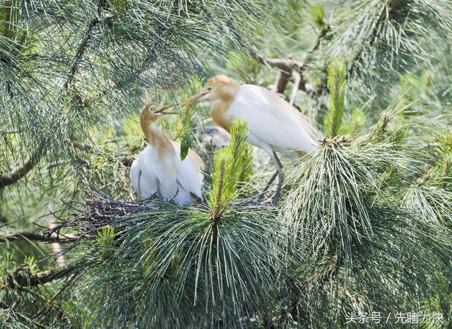 浙西南摄影采风之三 生态篇 全网搜