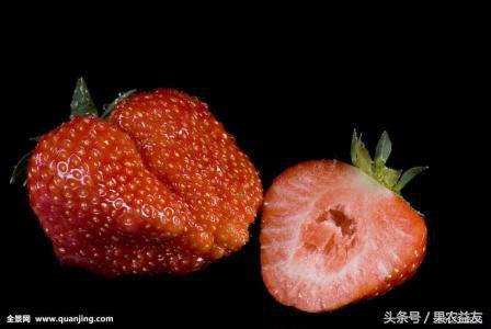 草莓“膨大剂”，谁来还你清白？