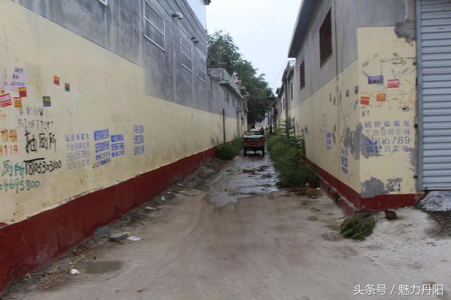 丹阳街道办事处：大屯社区旧城区改建房屋征收当天签约600多户
