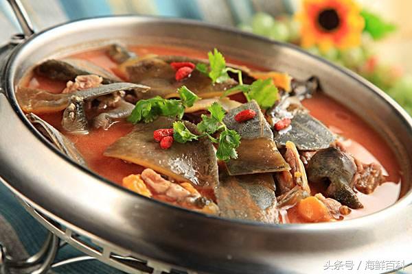 甲魚怎麼燉最有營養(甲魚的正確殺法煲湯)(1)