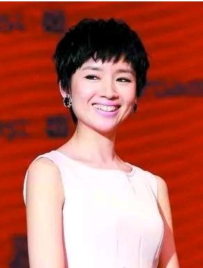 潘粤明董洁复合(潘粤明前妻董洁个人资料)-天晟网