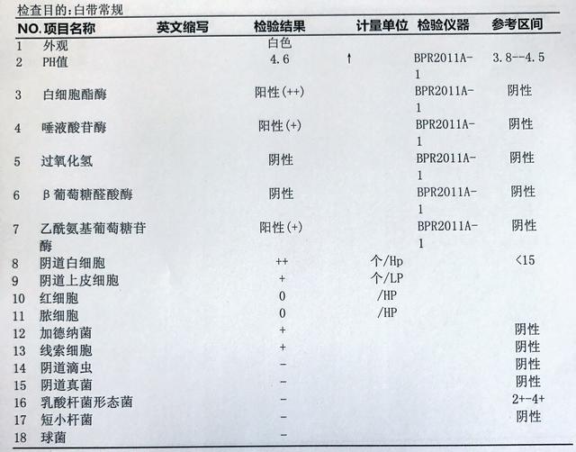 妇科检查白细胞6什么意思