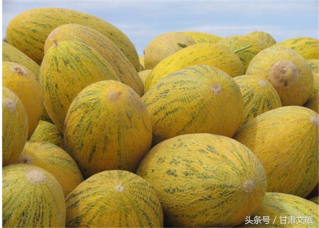 卓尼狼牙破碎机