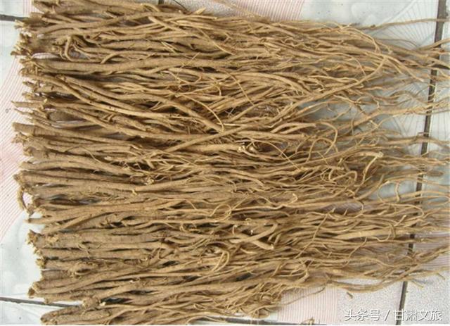 卓尼狼牙破碎机