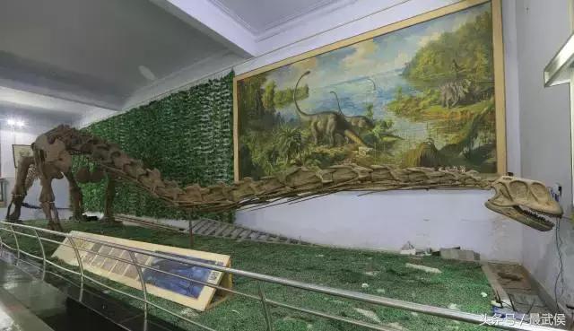 口腔医学博物馆展陈工程