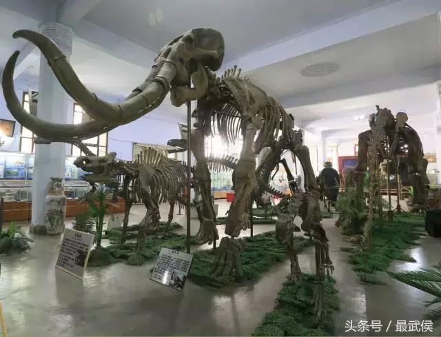 口腔医学博物馆展陈工程