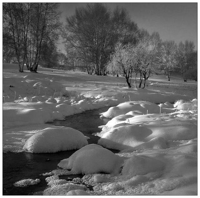 什么风凛冽 什么风凛冽(什么风凛冽的成语) 综合