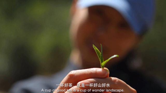 沧源轮斗洗砂机批发