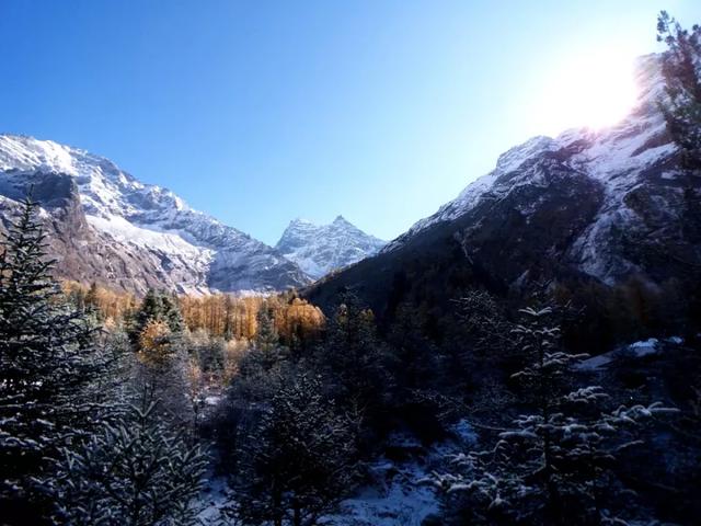 四姑娘山雙橋溝怎麼玩(四姑娘山雙橋溝遊玩攻略)