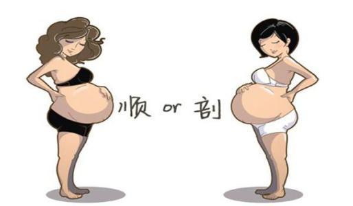 叛逆教育学校十大排名哪家好(叛逆教育学校排行榜)(图6)