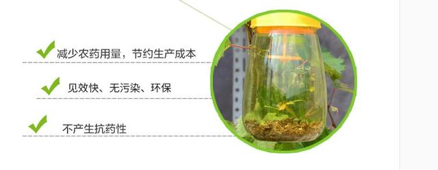 芦笋高产关键技术利用物理和生物的方法防治病虫害1