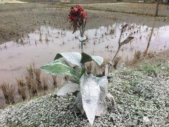 湘西卧式过滤机