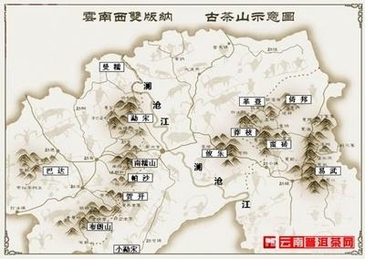 普洱茶的产地（普洱茶的产地是哪个省）