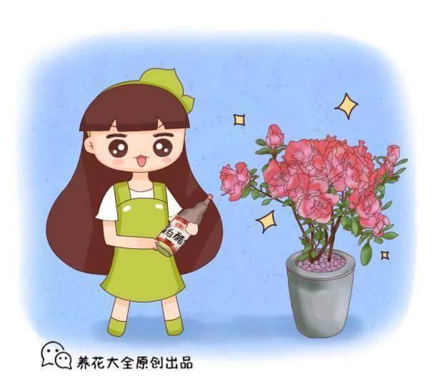 这东西谁家都有还便宜 养花时来两滴 黄叶子分分钟恢复绿色 今日头条