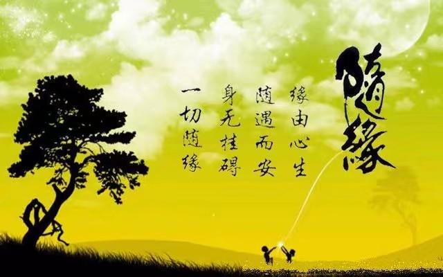 命格分析免費閱讀(命格分析百羽之命什么意思)