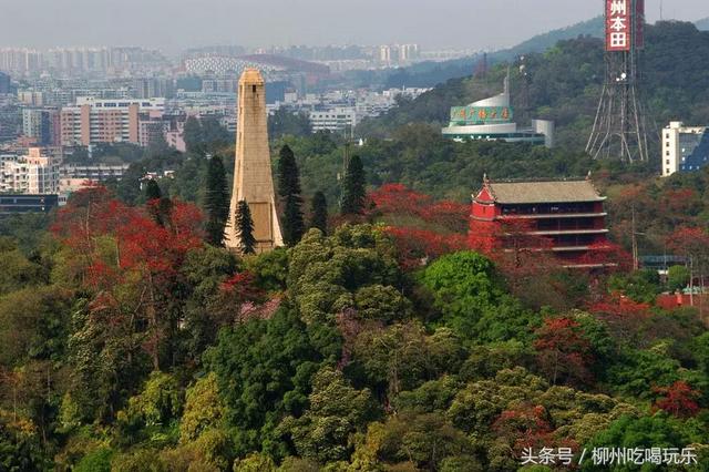 广州有什么好玩的