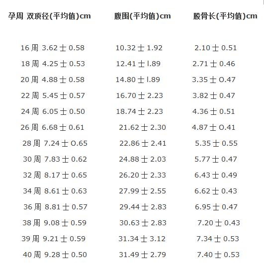 肱骨孕周对照表图片图片