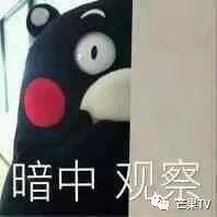 电视剧《凤囚凰》免费观看完整版(凤囚凰免费观看全集完整版)