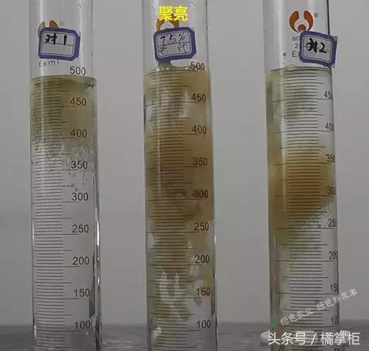 说说这个杀菌剂为何能让植物病害防治变得简单高效4