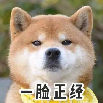 反犬旁