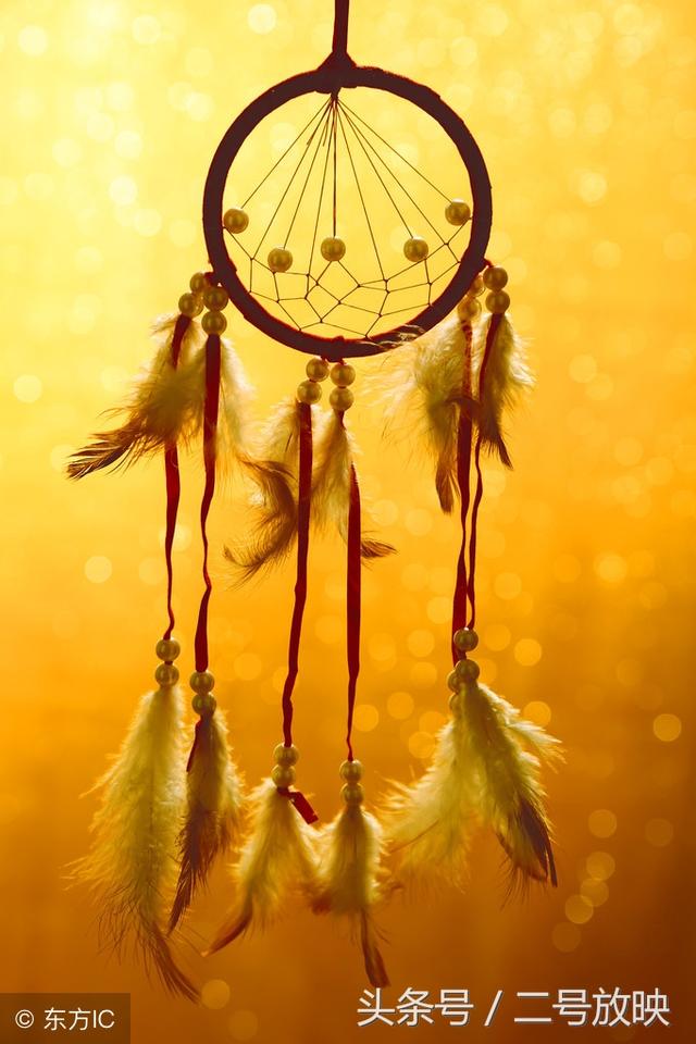 梦见马有哪些征兆全解！解梦告诉你所有！