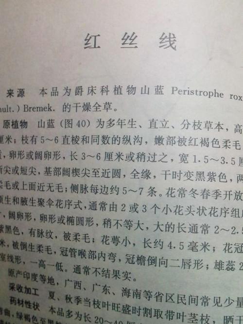 红丝线