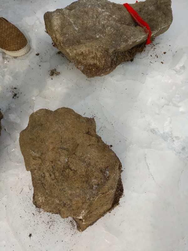 墓地里有石头怎么办