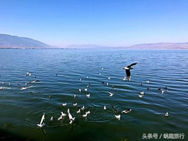 盘锦轮盘式洗砂机报价