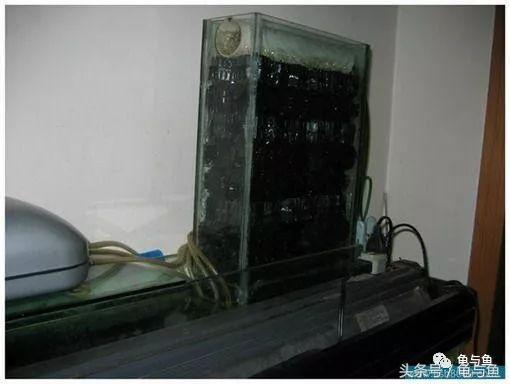 圆筒筛砂螺旋洗沙一体机厂家