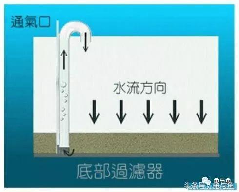 圆筒筛砂螺旋洗沙一体机厂家