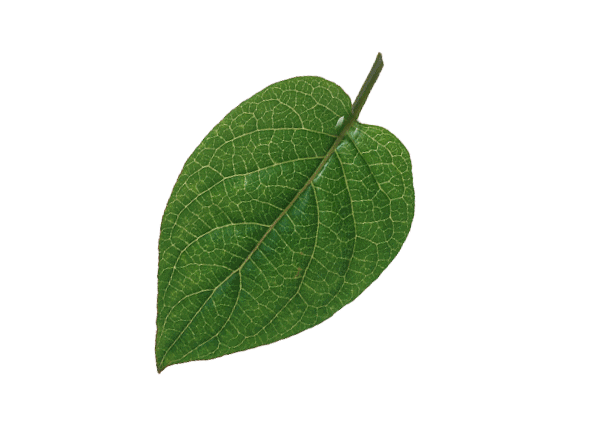 600_426gif 动态图 动图