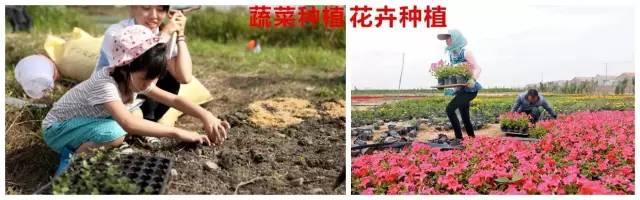 农业企业包括哪些行业(必备秘籍，必看)