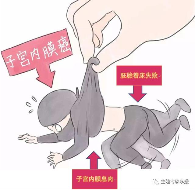 子宫膜厚怎么办