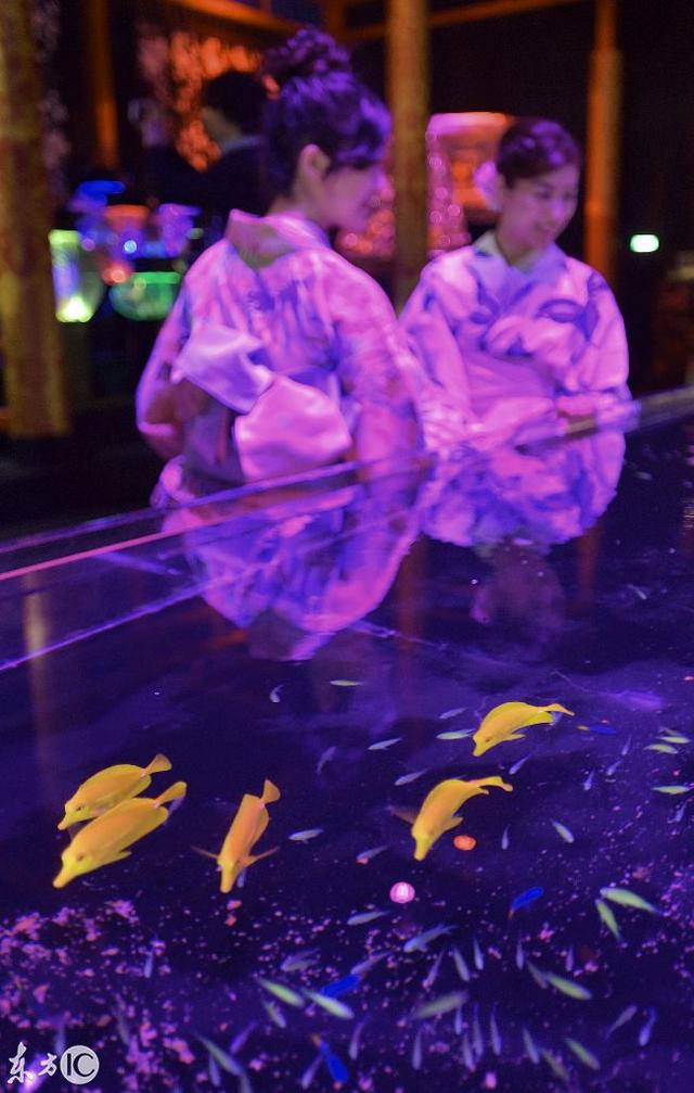 水族工程展