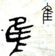 隹