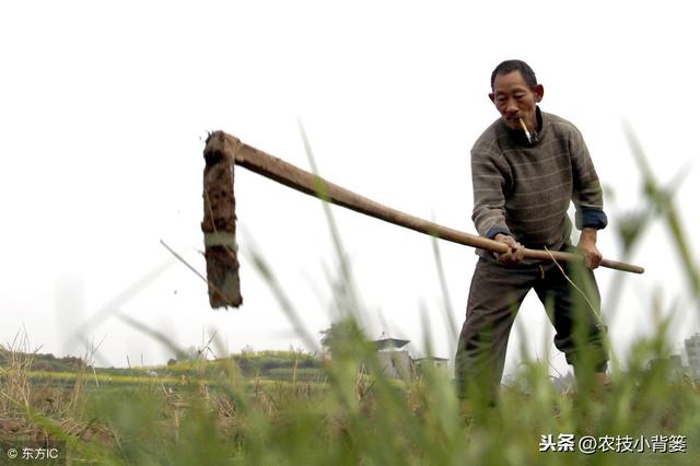 防治禾本科和阔叶类杂草，这些除草剂常见常用、低毒安全又高效！8