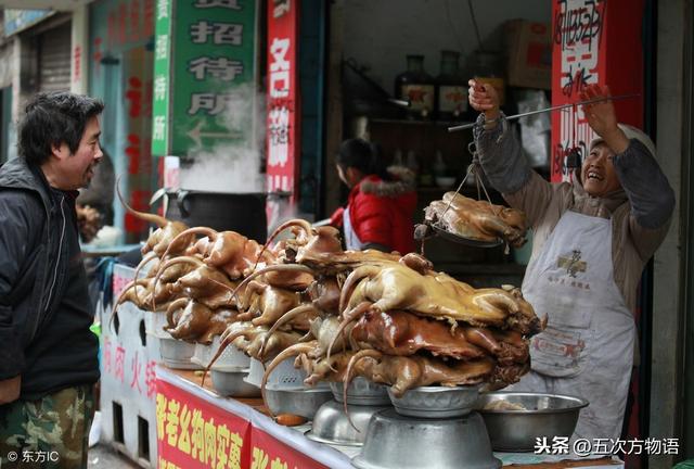 肉食狗