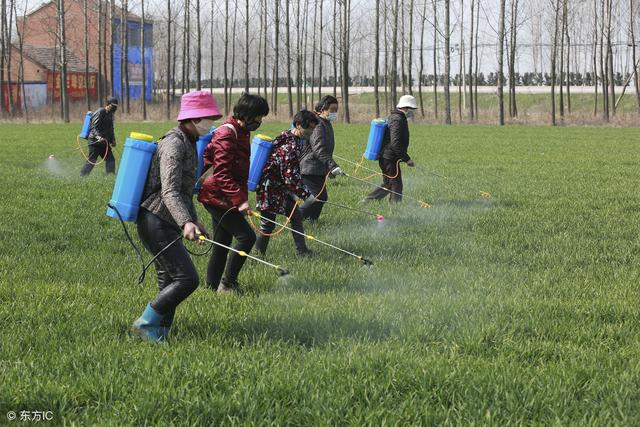 农业种植中，除草剂混用有什么好处？混用时的注意事项有哪些？