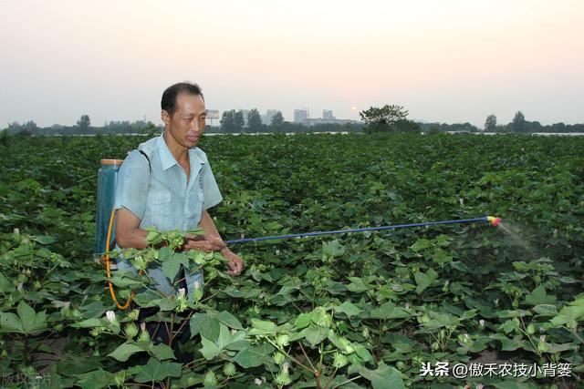 兼有杀菌+治疗作用、可防治细菌真菌病毒病害，这种杀菌剂不简单7