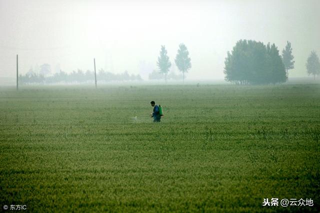 安全使用毒死蜱防虫技术，建议收藏！3