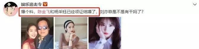 传杨采钰嫁陈金飞:刘亦菲争宠失败杨采钰疑与57岁陈金飞结婚，官宣恋情后资源开挂