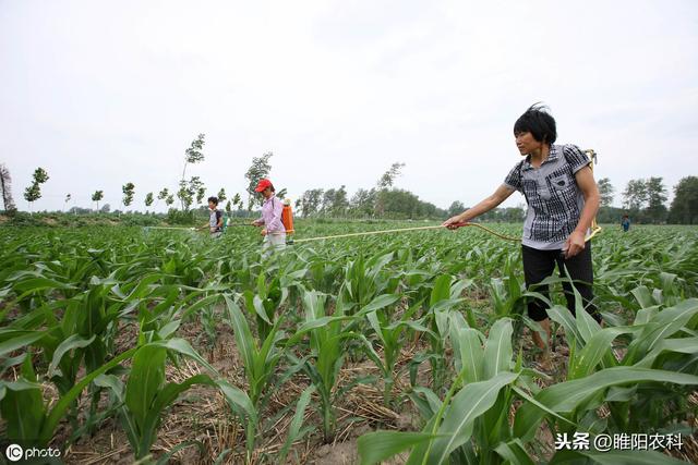 推荐一个花生、玉米、大豆田通用优秀除草剂，除草彻底，安全性好