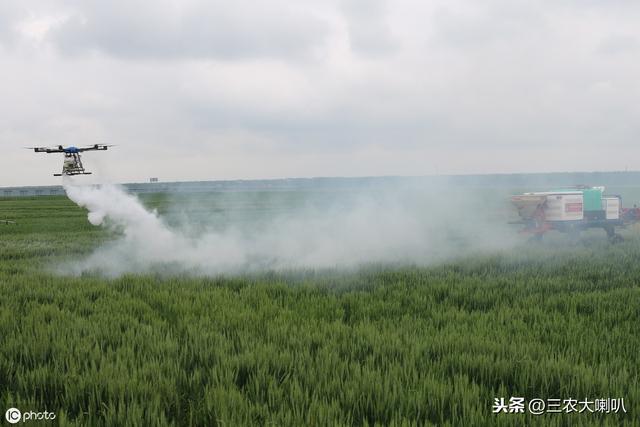 作物病虫害严重，不知道用啥药怎么办？最新指南，名单大全！3