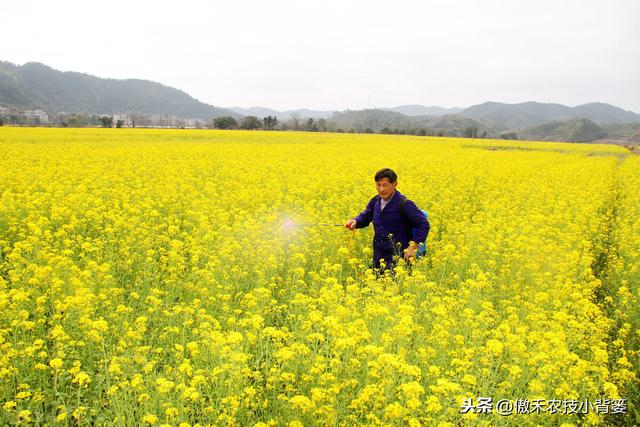 兼有杀菌+治疗作用、可防治细菌真菌病毒病害，这种杀菌剂不简单5