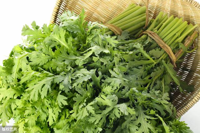 蒲公英泡水真的能对抗痛风吗？7种食物帮你食疗降尿酸