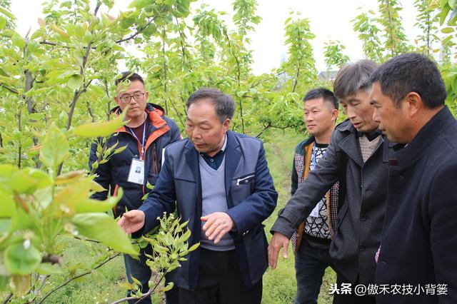 这种药物可以防治作物上的各类真菌性病害，而且用药效果特别好8