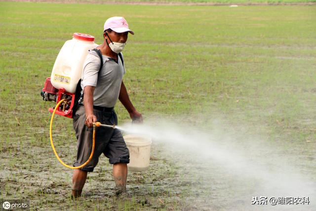 这个除草剂可用于玉米、花生、大豆等20多种作物，除草干净又安全5