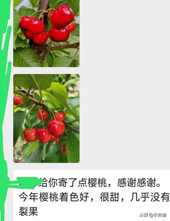 这1种肥促保果、膨果增产、着色好、卖价高？看看果农怎么说4